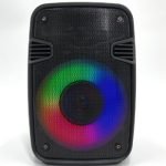 Parlante Inalámbrico Bluetooth BT MS-1683BT / MS-1684BT