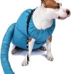 Secador de Pelo de Mascota